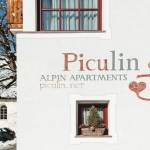 Alpin Apartments Piculin