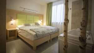 Aparthotel Dolomites RTA