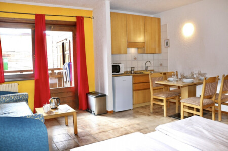 Apartament 1-pokojowy