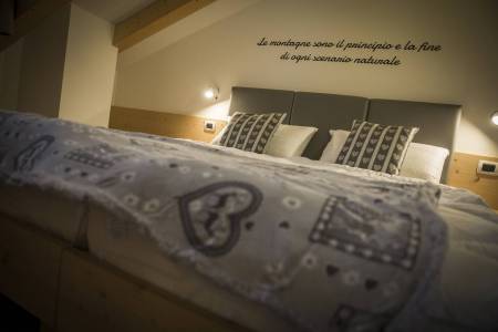 aparthotel-dolomites-suites-maxi (4)