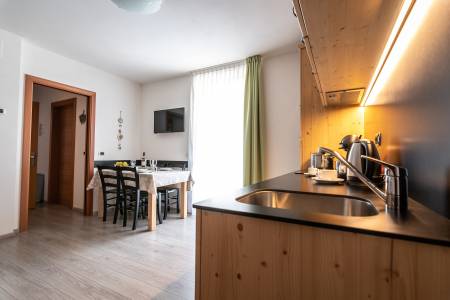 aparthotel-dolomites-suites-superior (3)