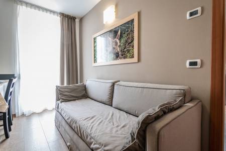 aparthotel-dolomitesrta-vioz-vigo-ortles (7)