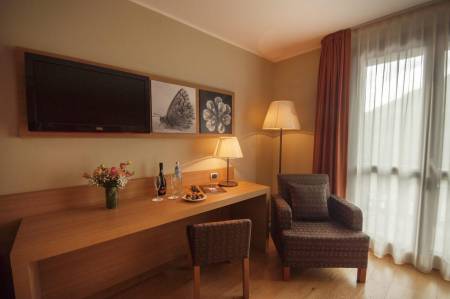 blu_hotel_acquaseria_standard_room_camera_scrivania