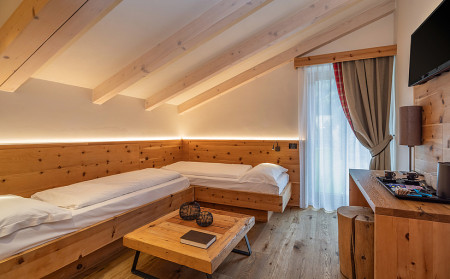 Alpine Suite Roof