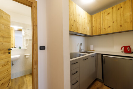 Apartament 1-pokojowy 2-osobowy
