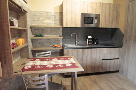 Apartament 1-pokojowy Nef