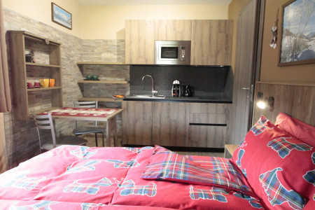 Apartament 1-pokojowy Nef