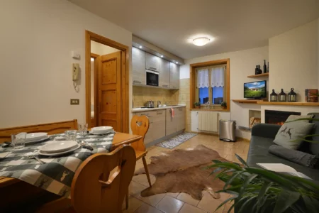 Apartament 2-pokojowy 101