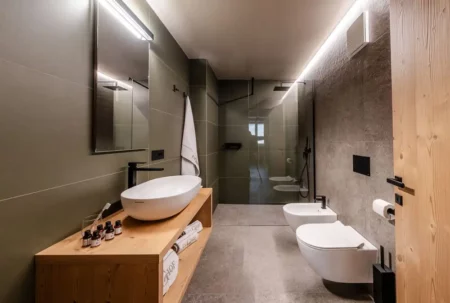 Apartament 2-pokojowy Mas de Predafessa