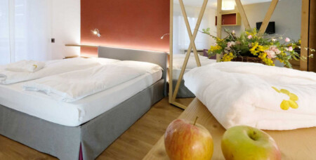 Junior Suite Vitanova Wellness