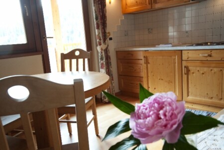 Apartament A1