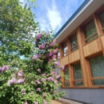 Residence Amba