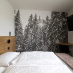 Apartament 3-pokojowy Brenta