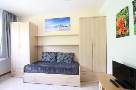 Apartament 1-pokojowy Standard