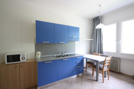 Apartament 1-pokojowy Standard