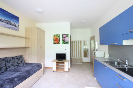 Apartament 1-pokojowy Standard