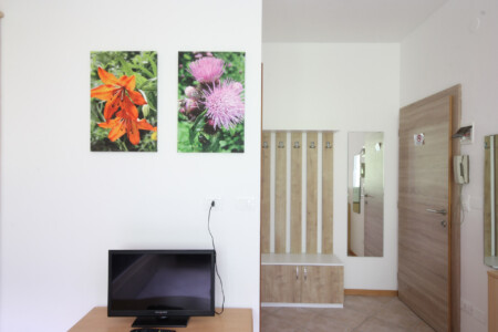 Apartament 1-pokojowy Standard