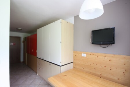 Apartament 1-pokojowy Standard