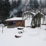 Hotel Belfiore - natural wellness garden
