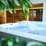 WELLNESS-GROHMANN-3-1024x681
