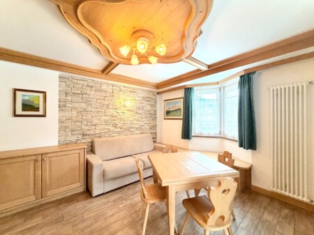 Apartament Mountain View