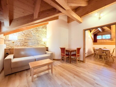 Apartament Attic Superior