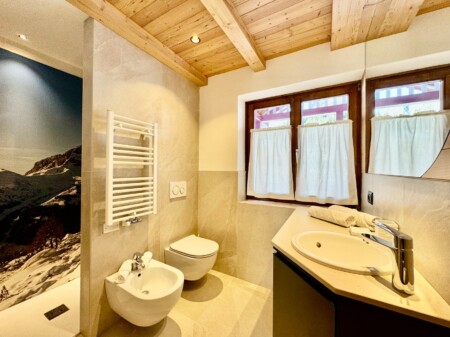 Apartament Dolomiti Luxury