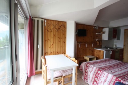 Apartament 1-pokojowy 3-osobowy
