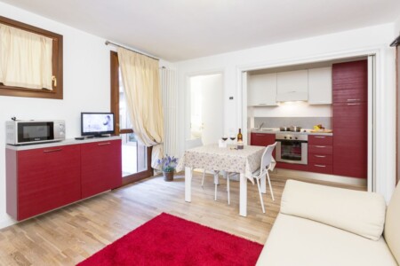 Apartament 1-pokojowy Comfort